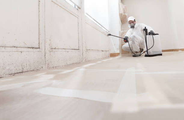 24/7 Emergency Black Mold Remediation experts in Franklin, NC